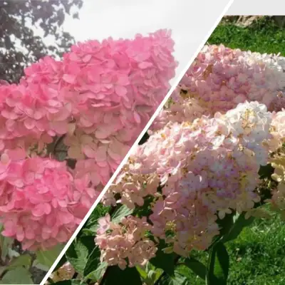 Комплект МНОГОГРАННОСТЬ в Бресте