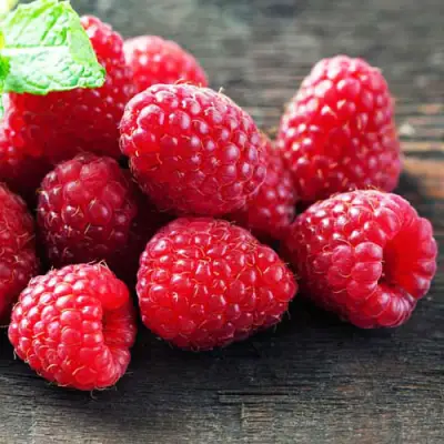 Малина ЭРИКА в Бресте