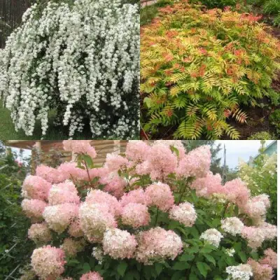 Комплект ФЕЙЕРВЕРК ЛЕТА в Бресте