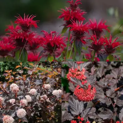 Комплект ОГНЕННЫЙ МИКС в Бресте