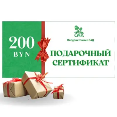Подарочный сертификат на 200 BYN в Бресте