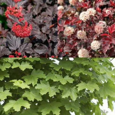 Комплект ОСЕННИЙ КОСТЕР в Бресте