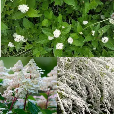 Комплект СКАНДИНАВСКИЙ СТИЛЬ в Бресте