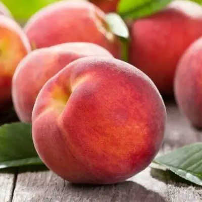 Персик МАЙСКИЙ ЦВЕТОК в Бресте