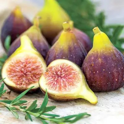 Инжир НИКИТСКИЙ в Бресте