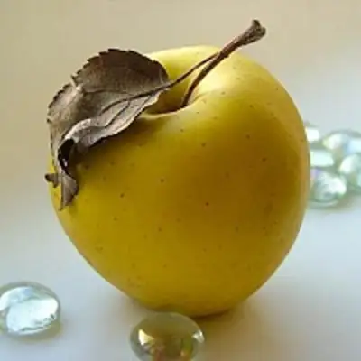 Яблоня АНАНАС в Бресте