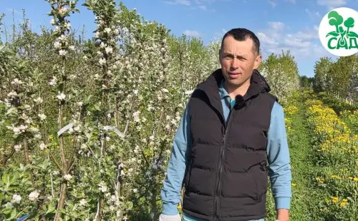 Превью видео