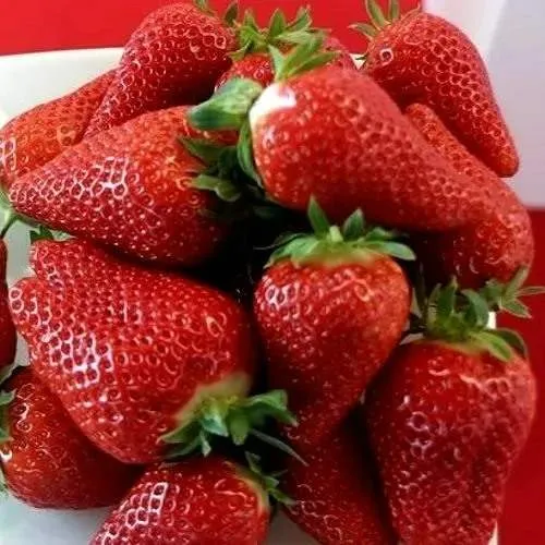 Клубника БРИЛЛА  Клубника БРИЛЛА в Бресте