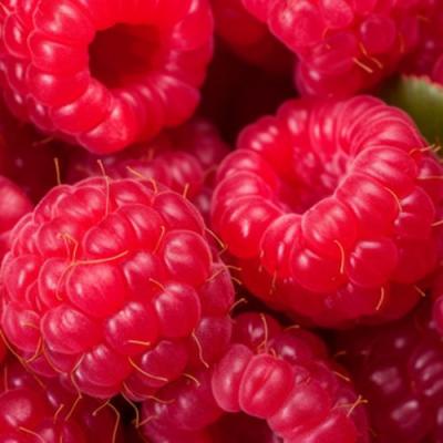 Красная в Бресте