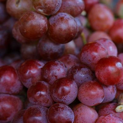 Красный в Бресте