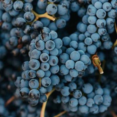 Технический в Бресте